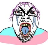 Angry Soyjak Trans