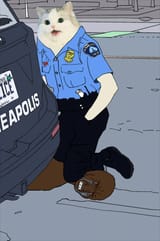 The Nigger Cat kneeling down on a nigger