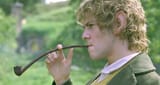 Pippin