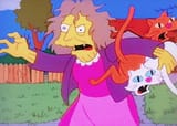crazy_cat_lady