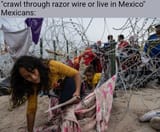 Mexicans