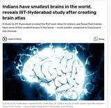 brain
