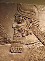 Ashumarsipal II assyrian
