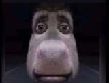 1727527472967569