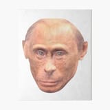 monkeyputin