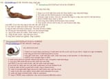 BrazilExplainsSnail