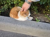 IMG_20250710_221528_225