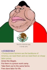 Make illegals slaves again