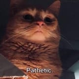 1725726316031897