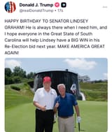 Swamp Creatures