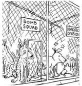 policedogs