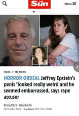 epstein weird dick