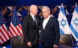 biden bibi