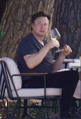 musk_are_you_trying_to_bamboozle_me_again