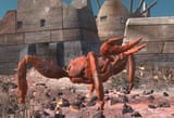 MegCrab