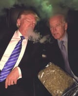 CommanderNChief