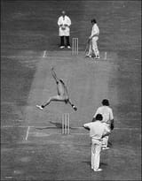 5c2f6b5370930b181506cd491f89a105--wickets-a-chef