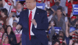 trump-wins-trump-2024