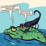 frog-and-scorpion-3302561559