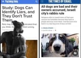 dogs_vs_jews