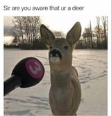 1675853101556408