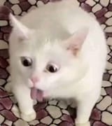 1752192806327864