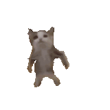 gangnam kitty