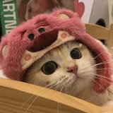GSOfWKpWIAABLmv