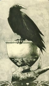 Ace of Cups