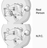 npc vs real person