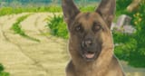 murdoch blondi doggo