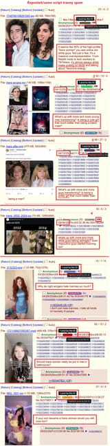 more young men transitioning tranny