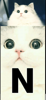 N