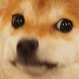 _)__