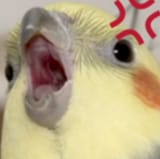 _)
