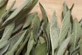 sage