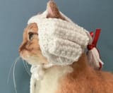 cat whig