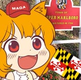 awoo32152