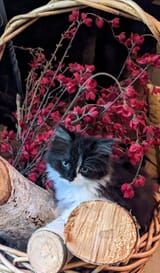 IMG_20240316_184924