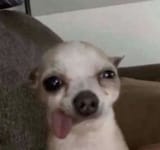 1690114804201883