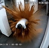 1723025525668223