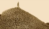 RR_lead_-Mooar-Brothers-buffalo-hunter-ontop-of-bison-skulls