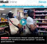 nigger thief