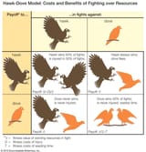 Hawk-Dove-model-benefits-resources-costs-animal-behavior