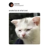 awake_but_at_what_cost