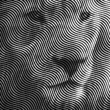 1739265817335216