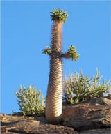 images (1) (22)