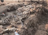 cancari-valley-mass-grave-srebrenica-genocide