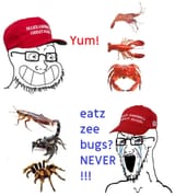 HYPOCRITTERS