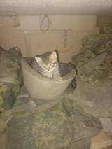 IMG_20250711_050005_803
